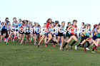 Girls under-13s 2022 Northern Cross Country Champs., Pontefract. Photo: David T. Hewitson/Sports for All Pics